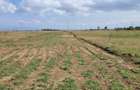 0.125 ac Land at Naivasha - 4