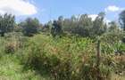 Residential Land at Karuri - 10