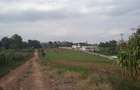 Land in Tigoni - 6