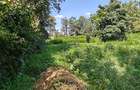 1.1 ac Land in Karen - 7