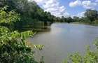 50 ft² Residential Land at Juja - 11