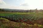 Residential Land in Tigoni - 7