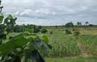 6 ac Land at Bomani - 14