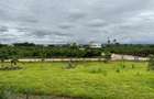 5,445 ft² Land in Vipingo - 5