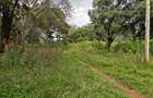 9 ac Land in Karen - 4