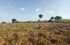 1 ha Residential Land in Tatu City - 11