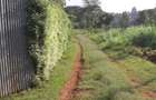 0.25 ac Land at Gikambura - 4