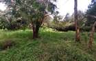 Residential Land at Lavington Green - 16