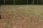 0.0113 ac Residential Land in Ngong - 1
