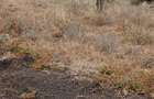 4 ac Land in Kiserian - 3