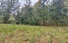 Land at Kirawa Road - 6