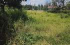 0.6 ac Land at Rundaevergreen - 3