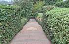 5 Bed House with En Suite at Close To Un - 2