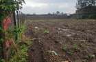 0.045 ha Land at 50 By 100 Plot At Transformer Stage Jb Area Mzee Wanyama -Nakuru - 14