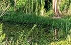 36 ac Land in Kikuyu Town - 9