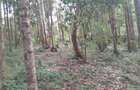 0.5 ac Residential Land at Old Kitisuru - 7