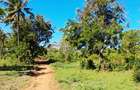 Land in Kikambala - 11
