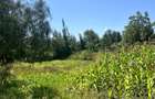 Land at Kandisi - 1