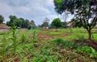 Residential Land at Pan African Insurance Avenue - 4