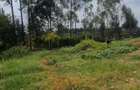 Land in Loresho - 4