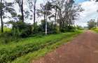 0.64 ac Residential Land in Thindigua - 1