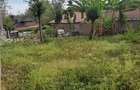Residential Land at Rimpa - 1
