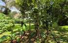 Land in Dennis Pritt - 5