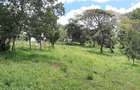 Residential Land at Migaa Golf Estate - 7