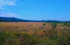 10 ac Land at Mweiga - 12
