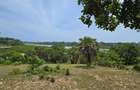 1.2 ac Land at Mtwapa Creekside - 13
