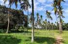 46 ac Land at Greenwood Mtwapa - 7