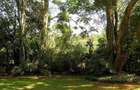 0.75 ac Land at Chalbi Drive - 3