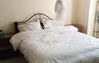 Furnished 2 Bed Apartment with En Suite in Rosslyn - 14