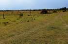 4 ac Land in Nanyuki - 1
