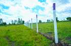 Residential Land in Naivasha - 6