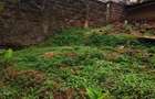 0.3 ac Residential Land at Kikuyu Road - 9