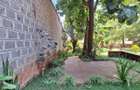 0.5 ac Commercial Land at 1St Avenue - 5
