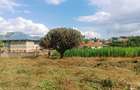 1,000 m² Residential Land at Riu-Nderi - 1