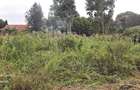 Commercial Property in Nyari - 3