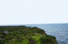1,012 m² Land at Funzi Island Beach - 6