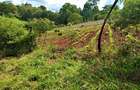 1.36 ac Residential Land at Kabarsiran Avenue - 4