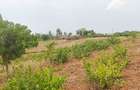 Land in Kilifi - 13