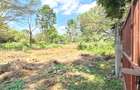 Residential Land at Shanzu Road - 30