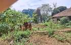 1.0 ac Land in Westlands Area - 1