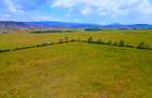 Residential Land in Naivasha - 3
