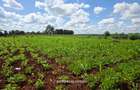 10 ac Land at New Kitisuru - 4