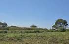 Residential Land in Runda - 3