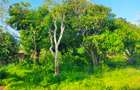 Land in Mtwapa - 2