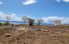 Residential Land in Nyali Area - 7