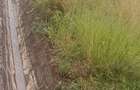 Land in Karen - 5